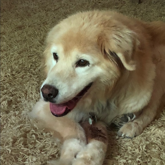 Meet your Posher, Allee - Picture 1 of 2